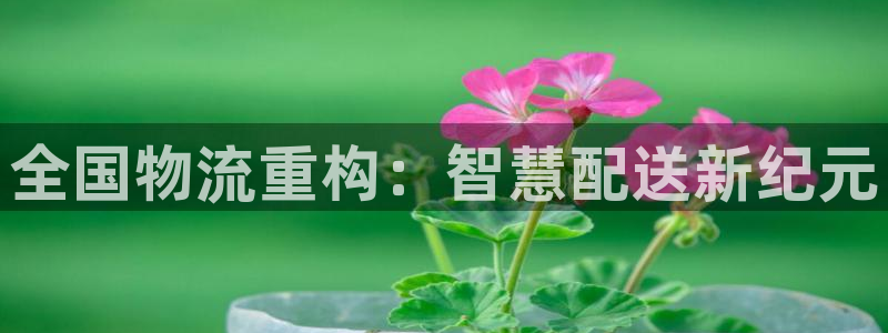 超凡国际加拿大在线预测：全国物流重构