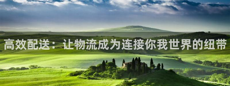 超凡国际登录网：高效配送：让物流成为