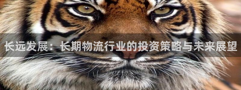 超凡国际官网下载APP：长远发展：长