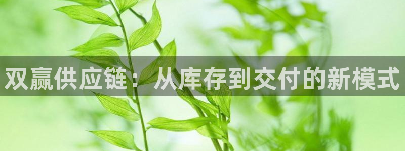 超凡国际充值不到账怎么办：双赢供应链