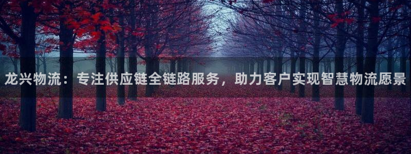超凡国际加拿大是什么意思：龙兴物流：