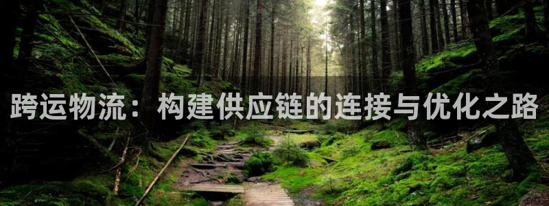 超凡国际电子：跨运物流：构建供应链的