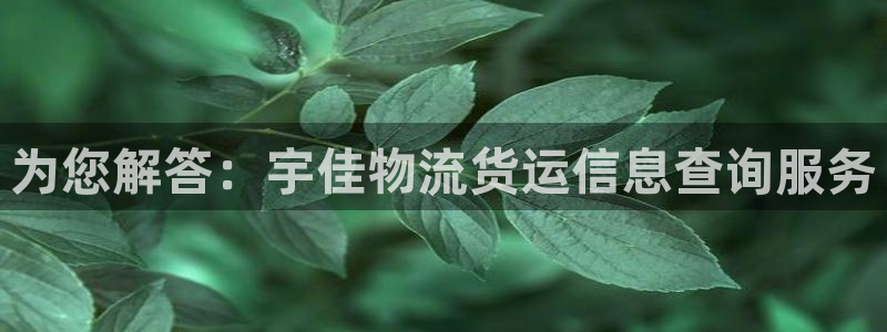 超凡国际是正规软件吗：为您解答：宇佳物流货运信息查询服务