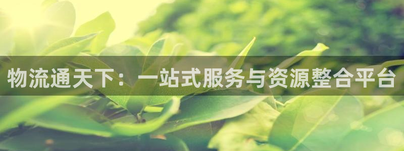 超凡国际电子游戏：物流通天下：一站式