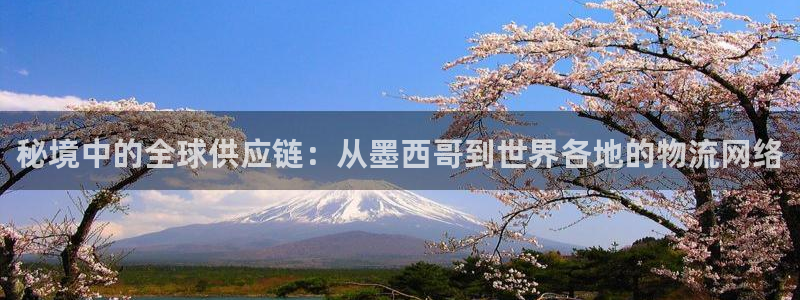 超凡国际加拿大官网：秘境中的全球供应