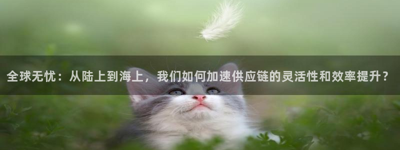 超凡国际app能退款吗：全球无忧：从