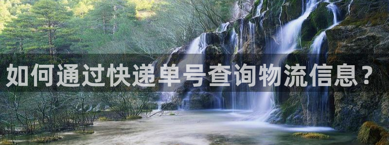 超凡国际预测网：如何通过快递单号查询