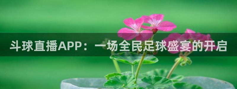 山猫直播免费足球直播：斗球直播APP：一场全民足球盛宴的开启