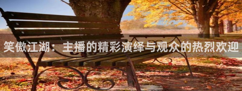 山猫极速体育直播：笑傲江湖：主播的精彩演绎与观众的热烈欢迎