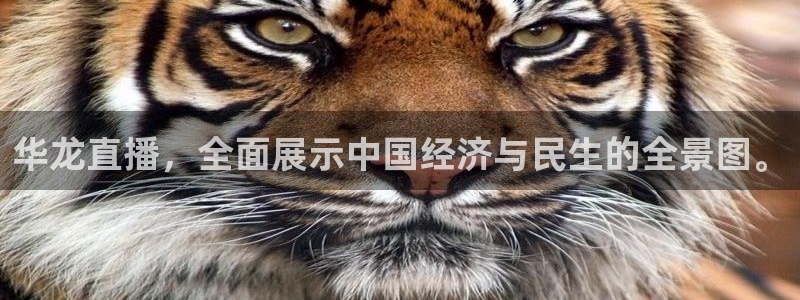 山猫足球体育赛事直播：华龙直播，全面展示中国经济与民生的全景图。