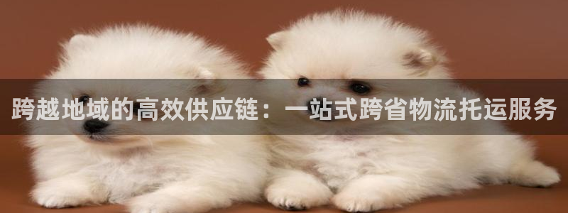超凡国际吧：跨越地域的高效供应链：一