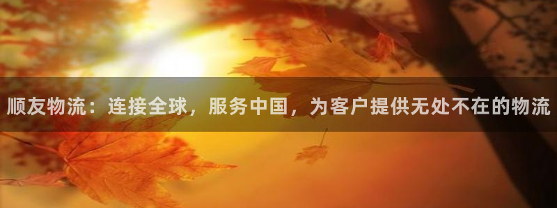 超凡国际官网下载多少：顺友物流：连接