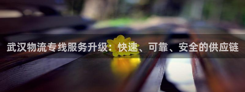 超凡国际官网入口pc是诈骗吗?：武汉物流专线服务升级：快速、