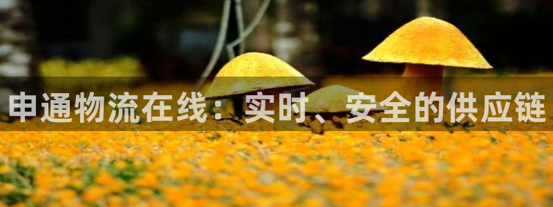 超凡国际注册登录：申通物流在线：实时