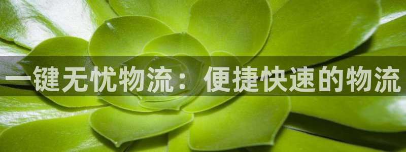 超凡国际官网开奖结果预测：一键无忧物