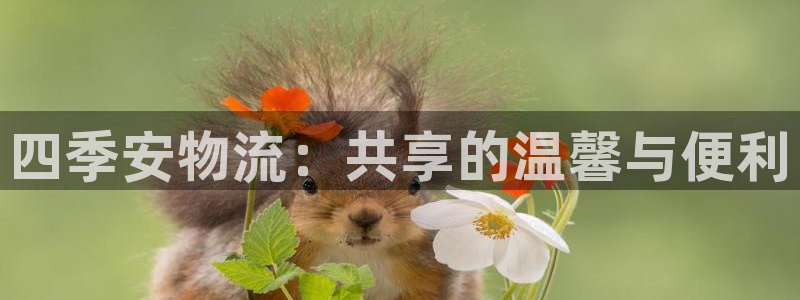 超凡国际模拟器在线使用:四季安物流: