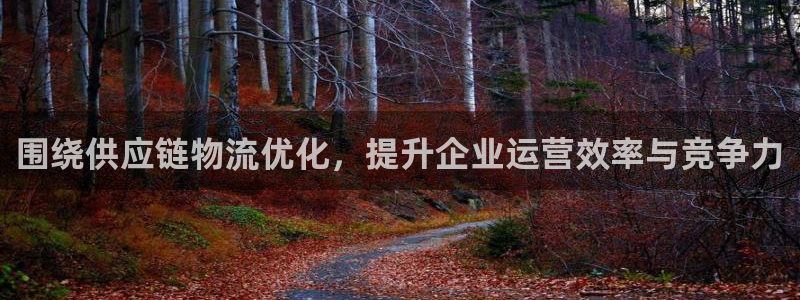 超凡国际h5链接:围绕供应链物流优化