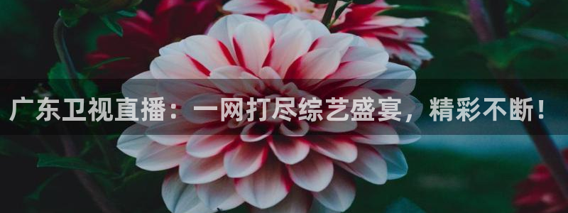 山猫体育免费赛事直播最新：广东卫视直播：一网打尽综艺盛宴，精彩不断！