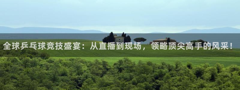 山猫免费直播吧：全球乒乓球竞技盛宴：从直播到现场，领略顶尖高手的风采！