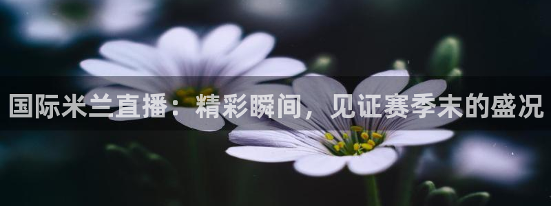 山猫体育免费直播亚冠：国际米兰直播：精彩瞬间，见证赛季末的盛况