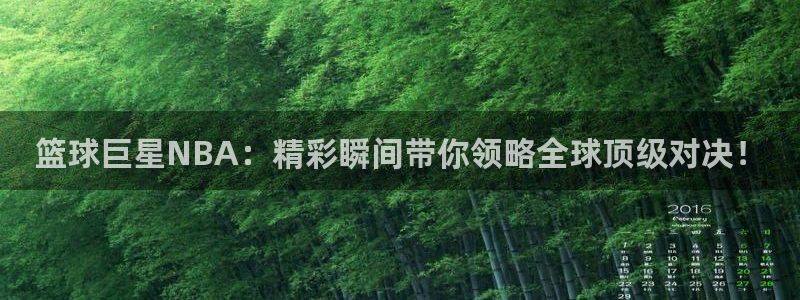 山猫体育免费直播篮球：篮球巨星NBA：精彩瞬间带你领略全球顶级对决！